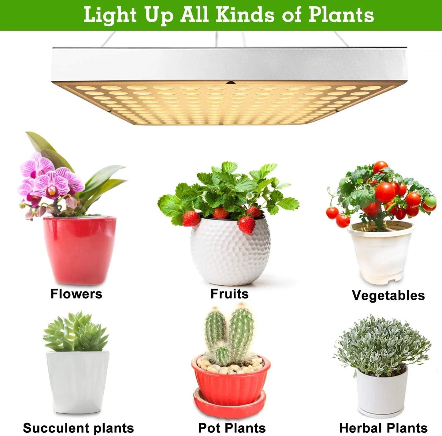 Grow Light RW750 Full Spectrum LED for Indoor Plant Growth 3x3 ft Coverage Area