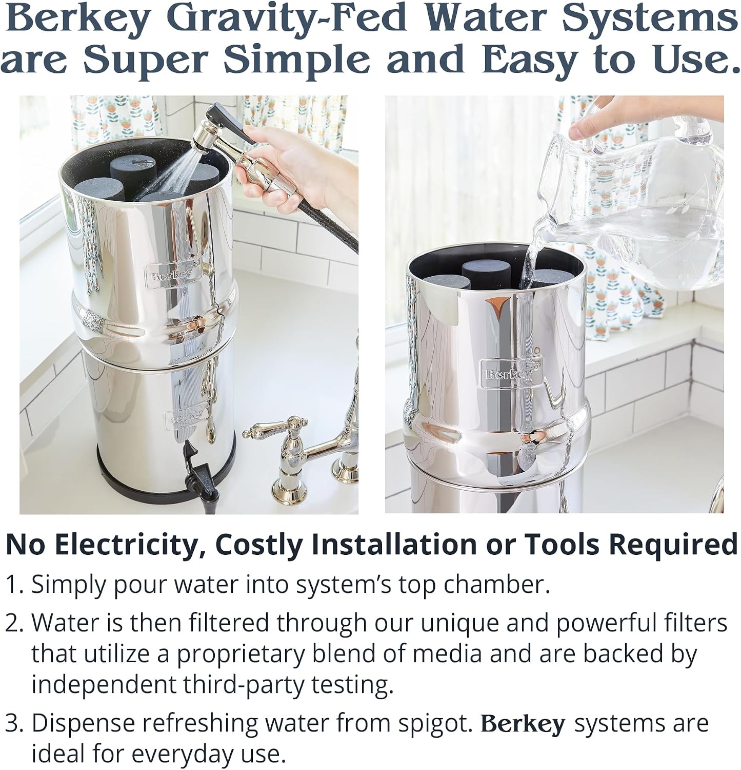 Combo Pack - 2 Berkey PF-2 Fluoride and Arsenic Reduction Elements + 2 NSF 42/372 Certified Phoenix Gravity New Millennium Edition Filter Elements