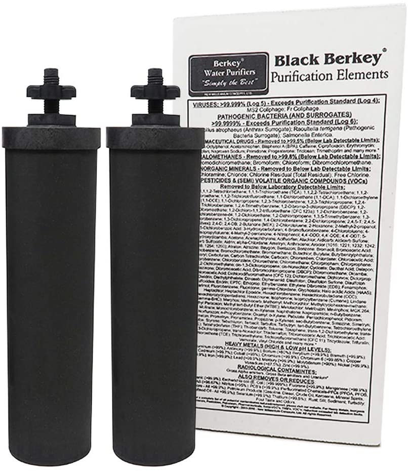 Black Berkey Purification Elements (2-Pack)