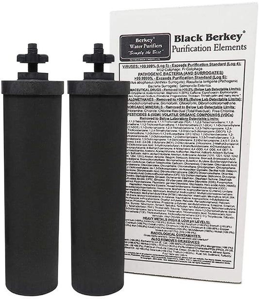 Black Berkey Purification Elements (2-Pack)