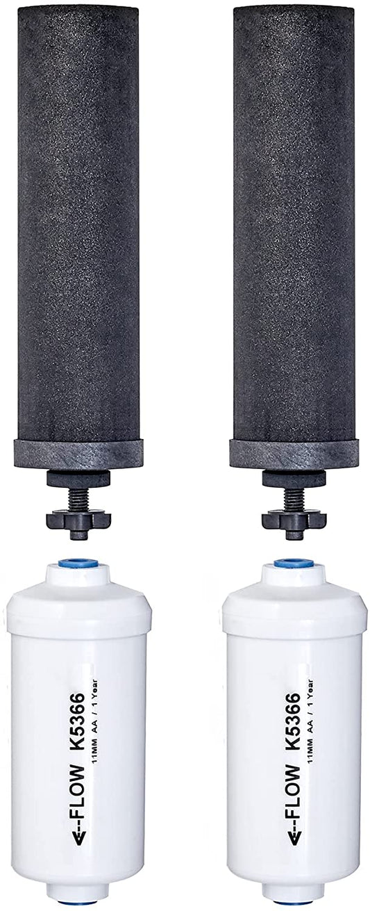 Berkey Filter Combo Pack (BB9-2 & PF-2)